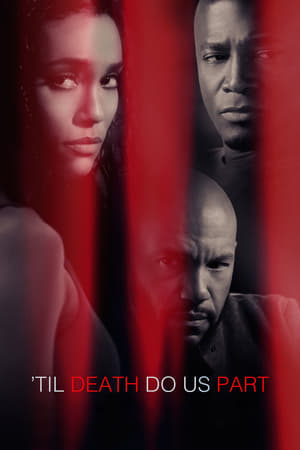 Til Death Do Us Part 2017 Hindi Dual Audio Web-DL 300MB