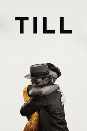 Till 2022 Hindi Dual Audio HDRip – 480p