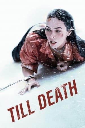 Till Death (2021) Hindi Dual Audio HDRip 350MB