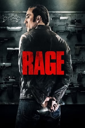 Tokarev (Rage) 2014 Hindi Dual Audio BluRay 300MB