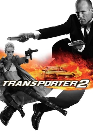 Transporter 2 (2005) Hindi Dual Audio BluRay 300MB