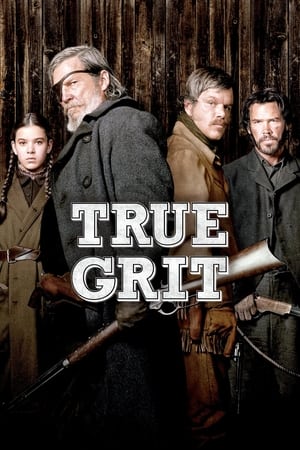 True Grit (2010) Hindi Dual Audio BluRay 350MB