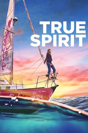 True Spirit (2023) Hindi Dual Audio HDRip – 480p
