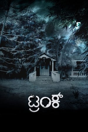 Trunk (2018) (Hindi – Kannada) Dual Audio UnCut HDRip 450MB