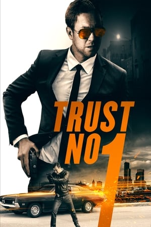 Trust No 1 (2019) Hindi Dual Audio Web-DL [1.2GB]