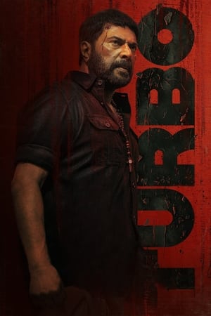 Turbo 2024 Hindi Dual Audio HDRip – 720p – 480p