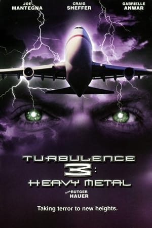 Turbulence 3 Heavy Metal 2001 Hindi Dual Audio Web-DL [1GB]