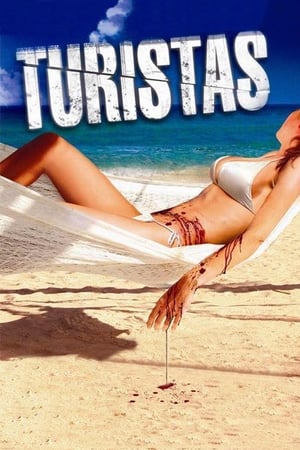 Turistas (2006) Dual Audio Hindi BluRay [ESubs] 300MB
