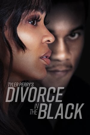 Tyler Perry’s Divorce in the Black (2024) Hindi Dual Audio HDRip – 720p – 480p
