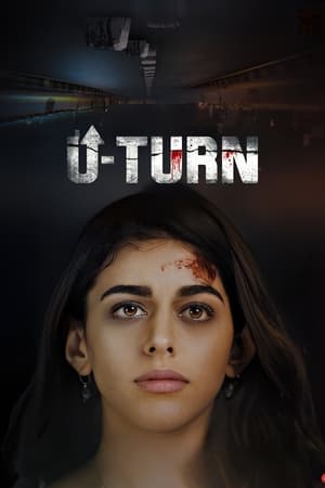 U-Turn (2023) Hindi HDRip | 480p