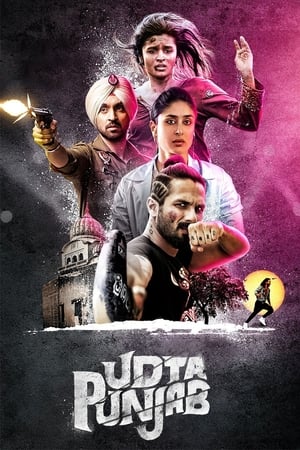 Udta Punjab (2016) Hindi Movie BluRay - [340MB]
