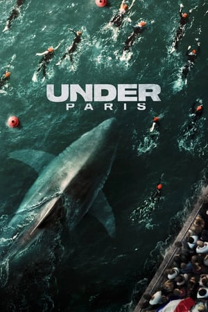 Under Paris 2024 Hindi Dual Audio HDRip – 720p – 480p