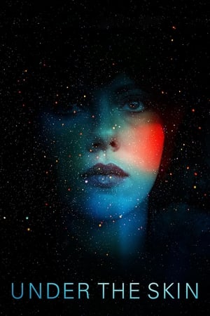Under the Skin 2013 Hindi Dual Audio BluRay [850MB]