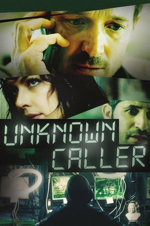Unknown Caller 2014 Hindi Dual Audio Bluray [900MB] ESubs