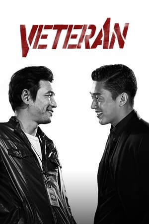 Veteran 2015 Hindi Dual Audio HDRip – 720p – 480p