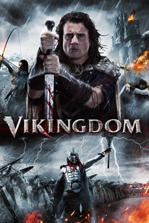 Vikingdom 2013 Hindi Dual Audio BluRay [1GB]