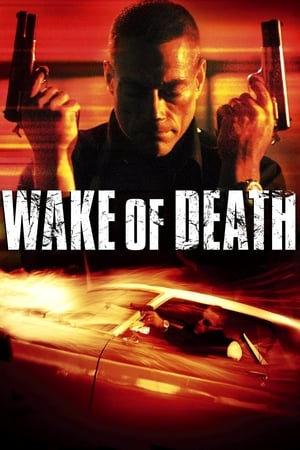 Wake of Death 2004 Hindi Dual Audio BluRay [1GB]