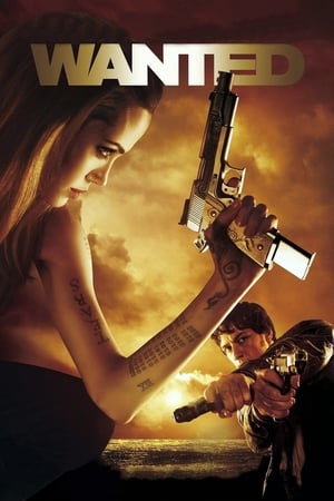 Wanted 2008 Hindi Dual Audio BluRay [860MB]