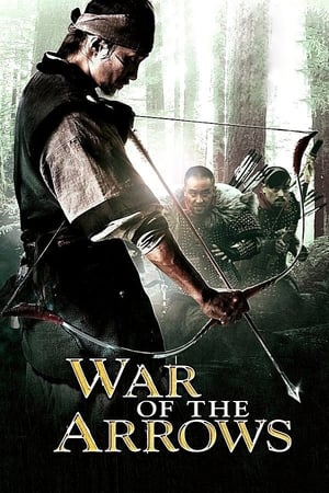 War of the Arrows (2011) Hindi Dual Audio BluRay 500MB
