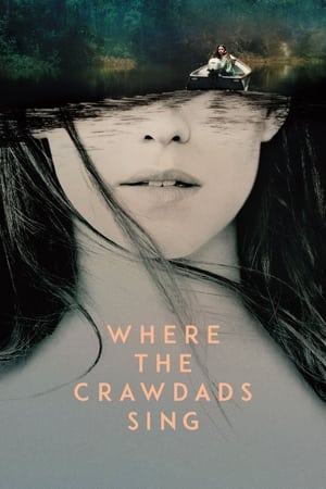 Where the Crawdads Sing (2022) Hindi Dual Audio HDRip – 480p