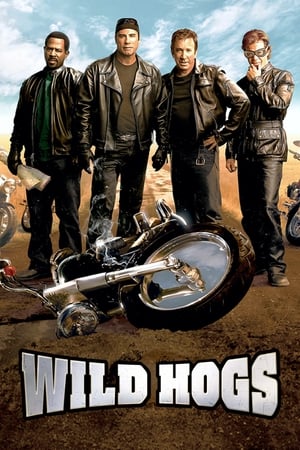 Wild Hogs (2007) Hindi Dual Audio BluRay [750MB]