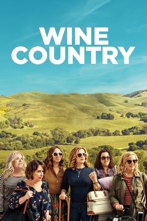 Wine Country (2019) Hindi Dual Audio Web-DL 350MB
