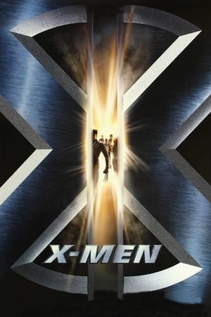 X-Men (2000) Hindi Dual Audio BluRay 300MB