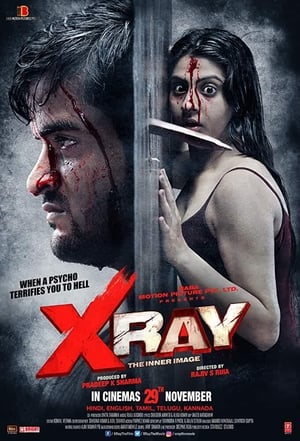 X Ray The Inner Image 2019 Hindi Movie HDRip x264 [900MB]