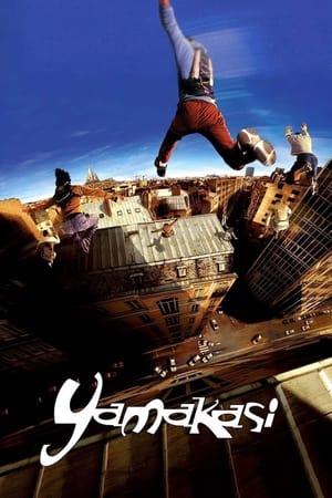 Yamakasi 2001 Hindi Dual Audio BluRay [980MB]