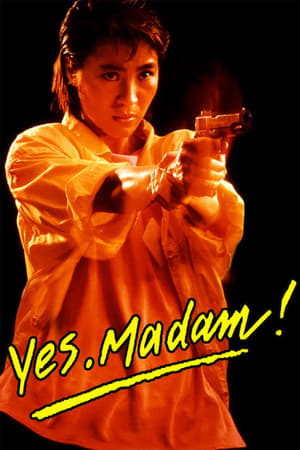 Yes Madam 1985 300MB Hindi Dubbed BRRip Download