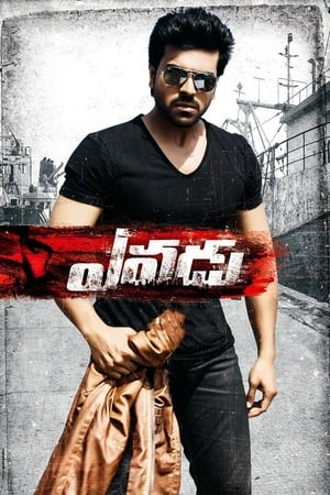 Yevadu (2014) (Hindi -Telugu) Dual Audio UnCut HDRip [1.4GB]