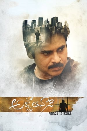 Yevadu 3 (Agnyaathavaasi) 2018 Dual Audio Hindi UnCut HDRip 450MB