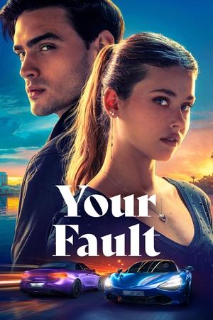 Your Fault 2024 Hindi Dual Audio HDRip – 720p – 480p
