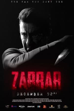 Zarrar (2022) Urdu Movie Pre-DVDRip – 480p