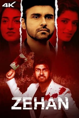 Zehan 2024 Hindi HDRip – 480p