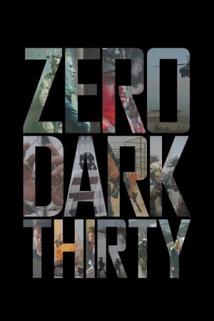 Zero Dark Thirty 2012 Hindi Dual Audio BluRay [1.2GB]