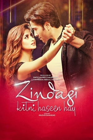 Zindagi Kitni Haseen Hay (2016) Pakistani Movie HDRip x264 [980MB]