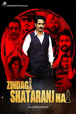 Zindagi Shatranj Hai (2023) Hindi Movie Pre-DVDRip – 480p